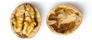 Walnuts, brain food, look like the brain
